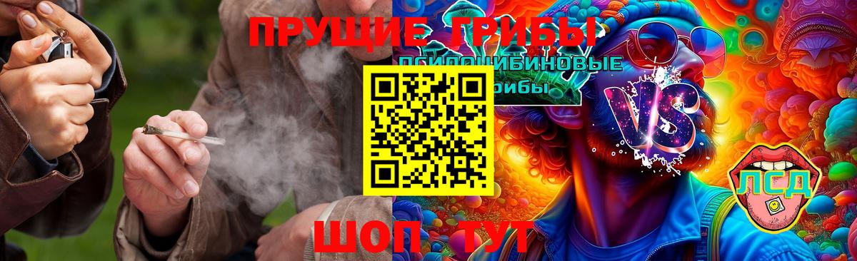 Псилоцибиновые грибы MAGIC MUSHROOMS Добрянка